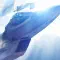 ACE COMBAT 7 SKIES UNKNOWN 皇牌空战 7 未知空域 [DLC 解锁] [凝聚力] [DLC Unlock] [Steam] [Windows & SteamOS]