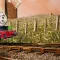 Thomas & Friends Wonders of Sodor 托马斯和朋友 多多岛奇观 [DLC 解锁] [凝聚力] [DLC Unlock] [Steam] [Windows & SteamOS]